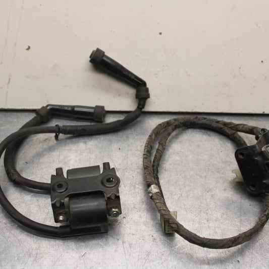 2007 Yamaha V Star 1300 XVS1300A IGNITION COILS BB78